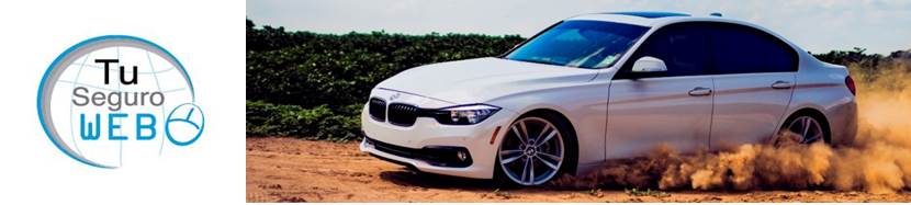 Tu Seguro Web